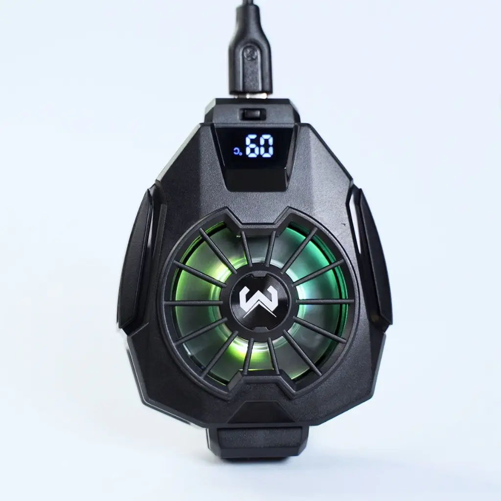 dl-05.webp